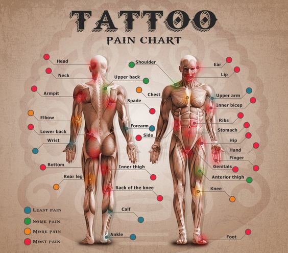 pain chart